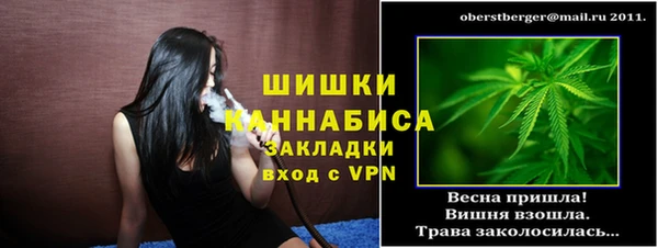 mix Богородицк