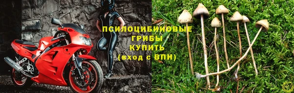 шишки Богородск