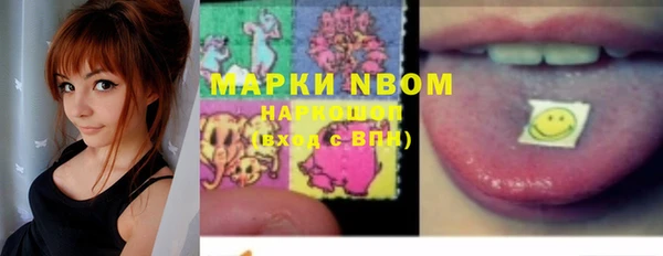 mix Богородицк