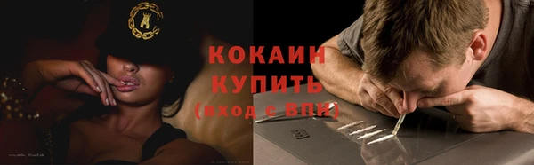 шишки Богородск