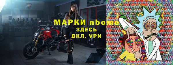 шишки Богородск
