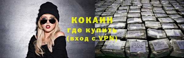 шишки Богородск