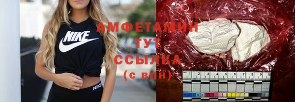 шишки Богородск