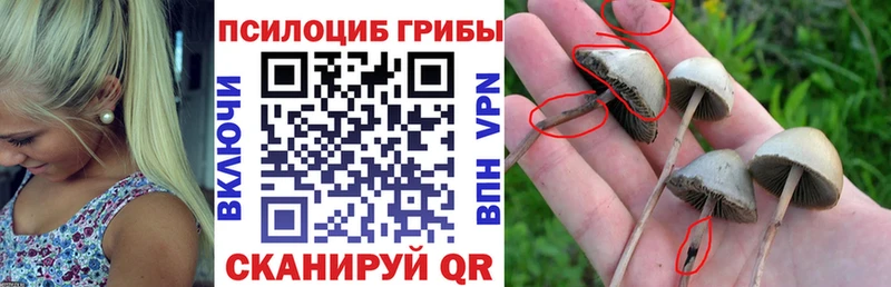 Псилоцибиновые грибы Magic Shrooms  Люберцы 